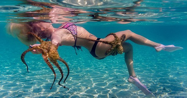 Women Battle Octopus Women Battle Octopus